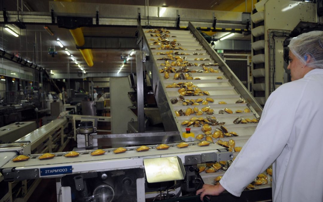 Visite de l’usine ST MICHEL à CONTRES